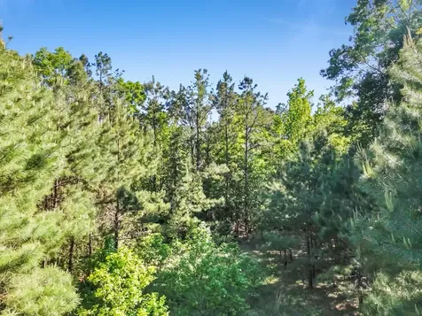 0000 County Road 425 Kirbyville TX 75956
