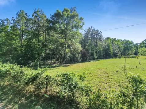0000 County Road 425 Kirbyville TX 75956