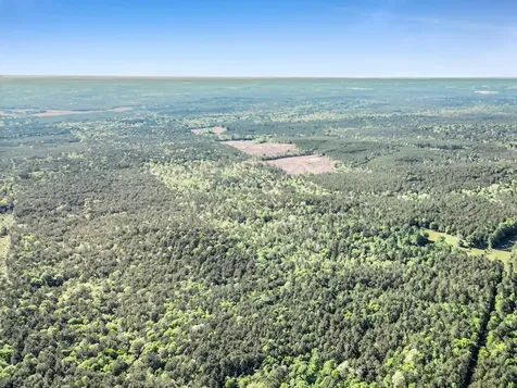 0000 County Road 425 Kirbyville TX 75956
