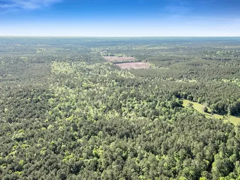 0000 County Road 425 Kirbyville TX 75956