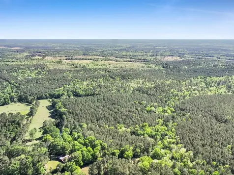 0000 County Road 425 Kirbyville TX 75956