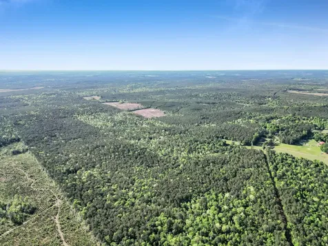 0000 County Road 425 Kirbyville TX 75956