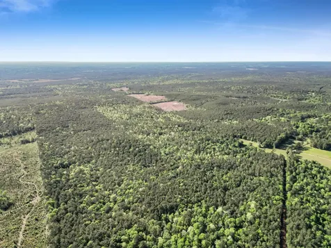 0000 County Road 425 Kirbyville TX 75956
