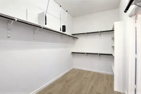 31507 Reston Cliff Court Spring TX 77386