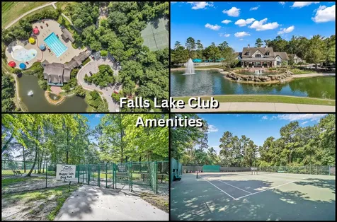 31507 Reston Cliff Court Spring TX 77386