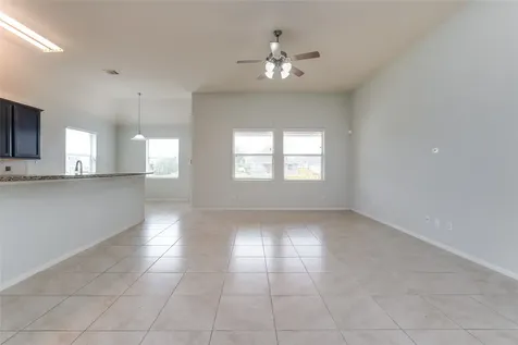 3931 Medici Court Missouri City TX 77459