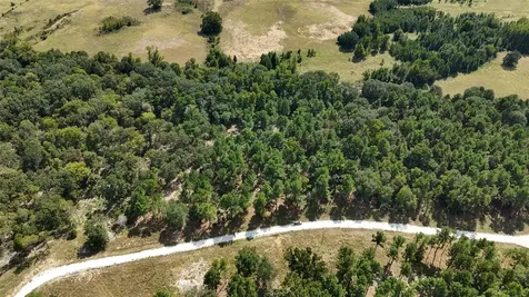 Tbd Cherokee Trail Lovelady TX 77851