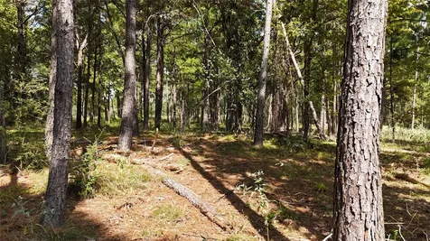 Tbd Cherokee Trail Lovelady TX 77851