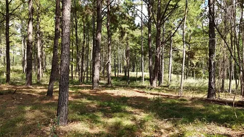 Tbd Cherokee Trail Lovelady TX 77851