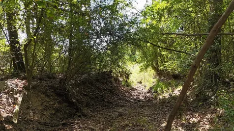 Tbd Cherokee Trail Lovelady TX 77851