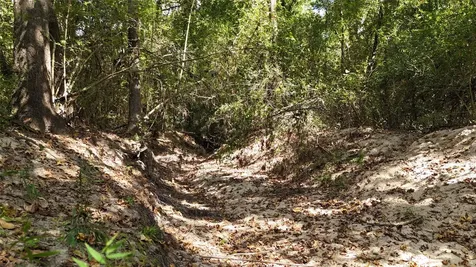Tbd Cherokee Trail Lovelady TX 77851