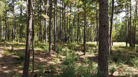 Tbd Cherokee Trail Lovelady TX 77851