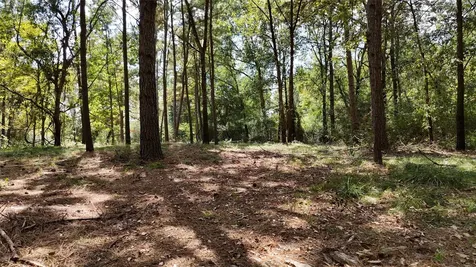 Tbd Cherokee Trail Lovelady TX 77851