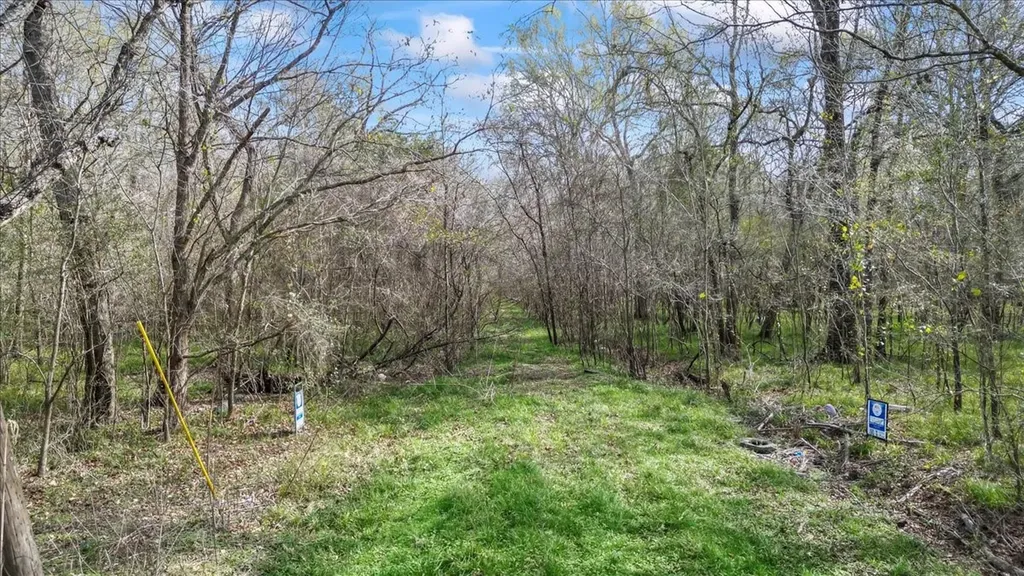 Tbd County Road 2601 Other TX 77327