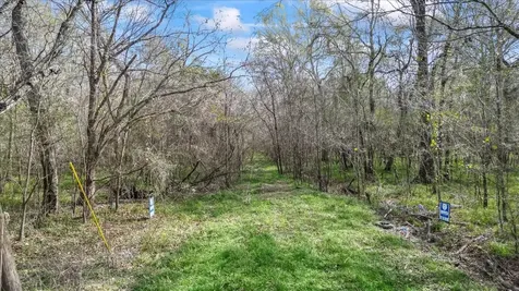 Tbd County Road 2601 Other TX 77327
