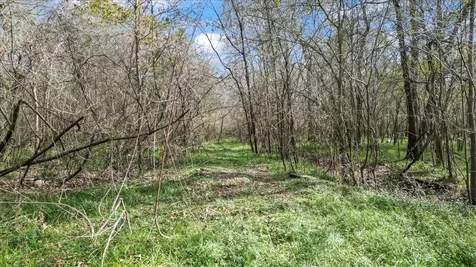 Tbd County Road 2601 Other TX 77327