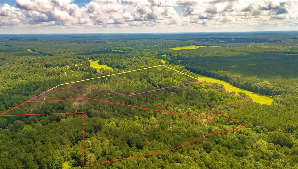 Tbd Lot 001 Holland Road Moscow TX 75960