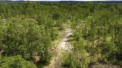 Tbd Lot 001 Holland Road Moscow TX 75960