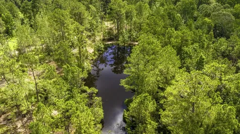 Tbd Lot 001 Holland Road Moscow TX 75960