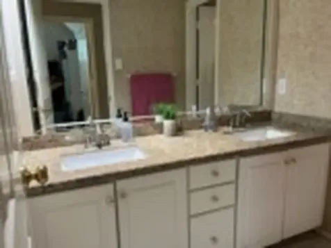 3 Candle Pine Place The Woodlands TX 77381