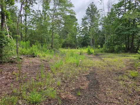 3088 County Road 2565 N Chester TX 75979