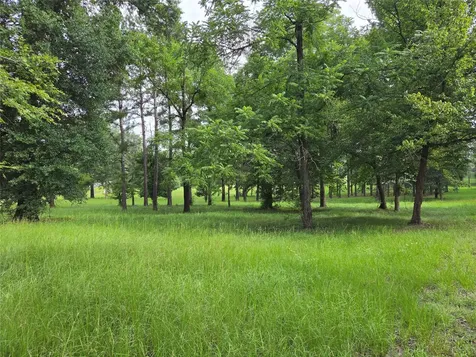 3088 County Road 2565 N Chester TX 75979