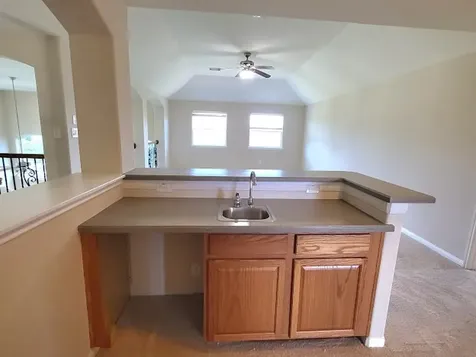 10007 Shire Green Lane Richmond TX 77407