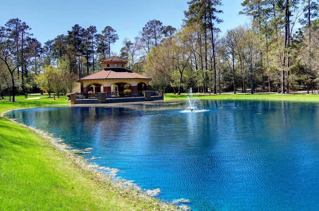 30 Lamerie Way The Woodlands TX 77382