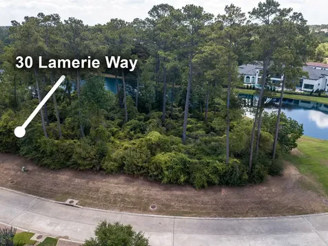 30 Lamerie Way The Woodlands TX 77382