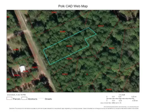Lot 307 Lumbermans Road Onalaska TX 77360