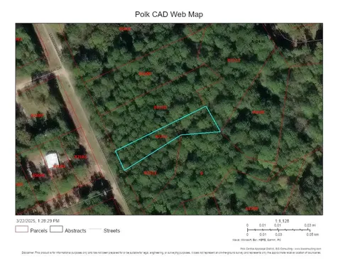 Lot 307 Lumbermans Road Onalaska TX 77360