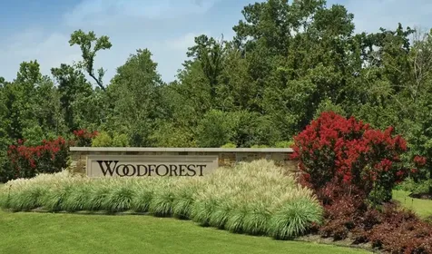 405 Rise Lane Montgomery TX 77316