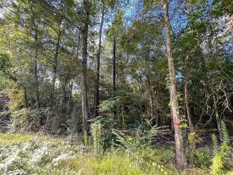 2 Fm 1013 Kirbyville TX 75956