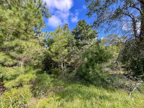2 Fm 1013 Kirbyville TX 75956