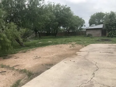 1118 Esparanza Street Alamo TX 78516