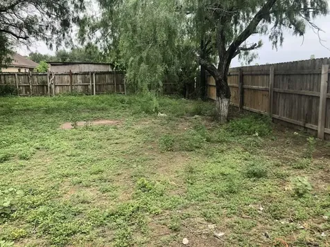 1118 Esparanza Street Alamo TX 78516
