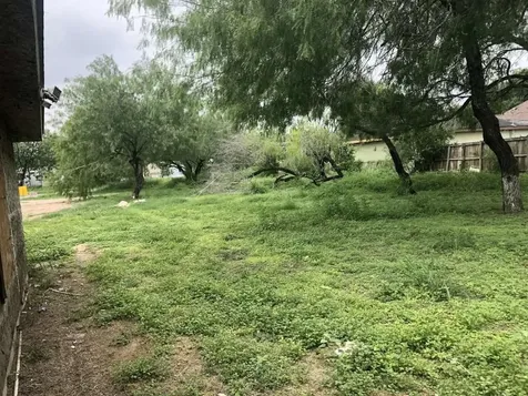 1118 Esparanza Street Alamo TX 78516
