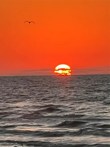 4230 Pirates Drive Galveston TX 77554