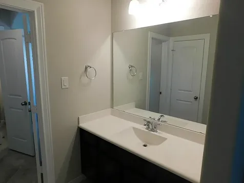 25614 British Pine Court Katy TX 77494