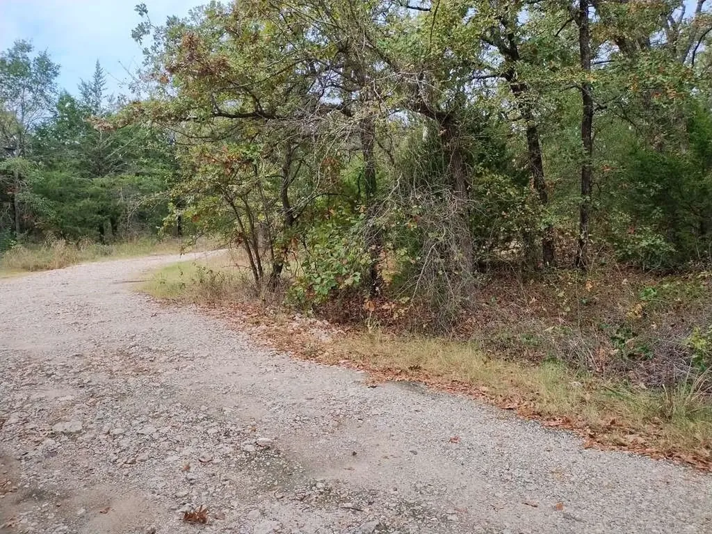 0 Lot 784-785 Faye Street Hawk Cove TX 75474