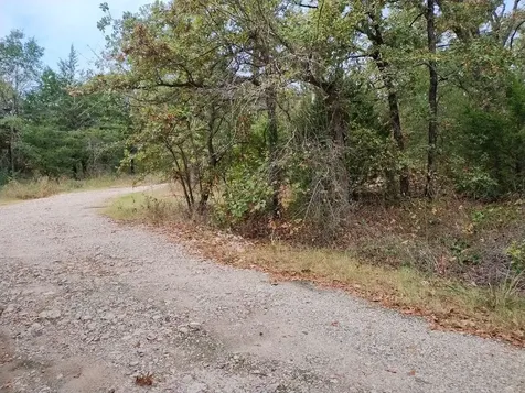 0 Lot 784-785 Faye Street Hawk Cove TX 75474