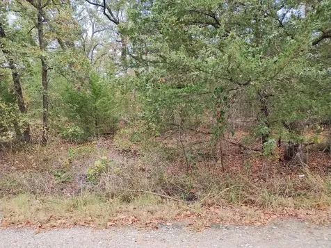 0 Lot 784-785 Faye Street Hawk Cove TX 75474
