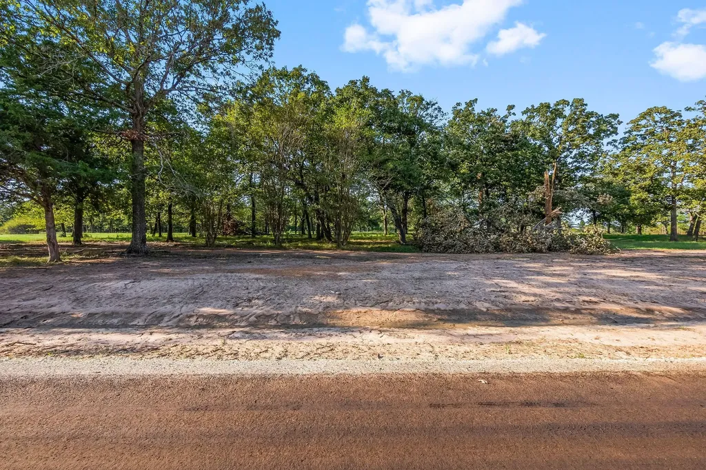 6141 Alans Memorial Lane New Waverly TX 77358