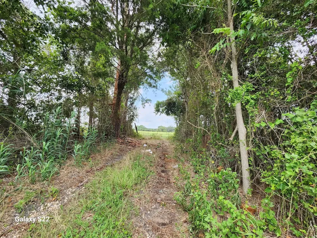 40224 Fm 1488 Road Hempstead TX 77445