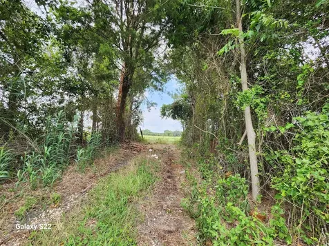 40224 Fm 1488 Road Hempstead TX 77445