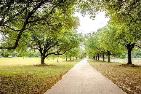 Tbd Green Valley Court Hillister TX 77624