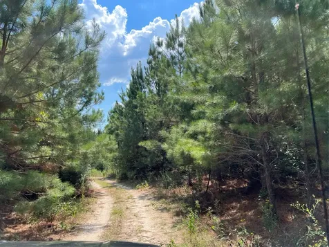 08 Fm 247 Huntsville TX 77320