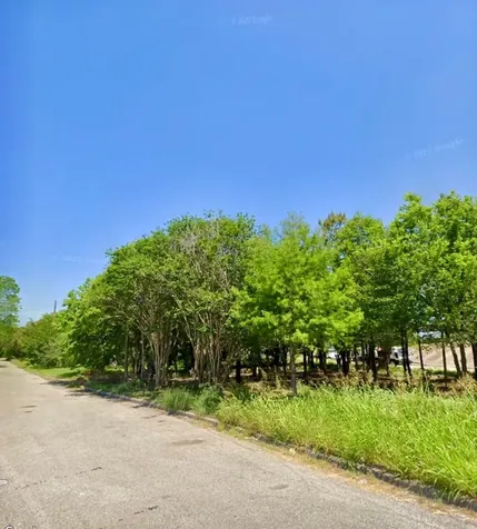 3110 Gray Street Houston TX 77004