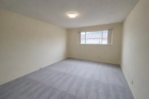 2336 Shadowdale Drive Houston TX 77043