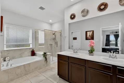 10626 Sentinel Dome Drive Rosharon TX 77583